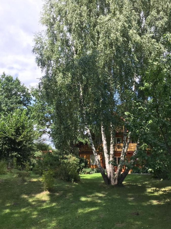Pokoje Pod Debami Kazimierz Dolny Eksteriør bilde